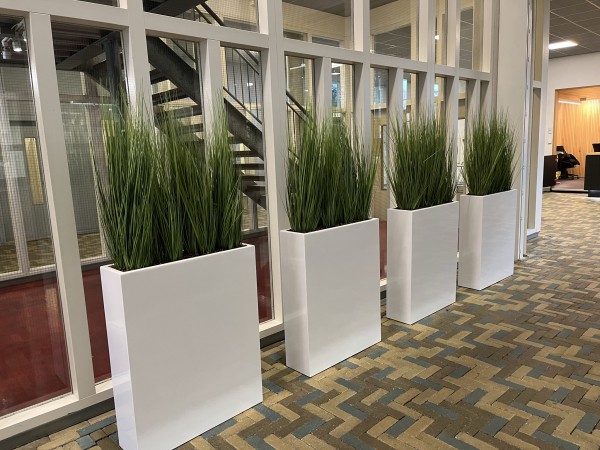 Interieurbeplanting in Emmeloord op een strak kantoor 