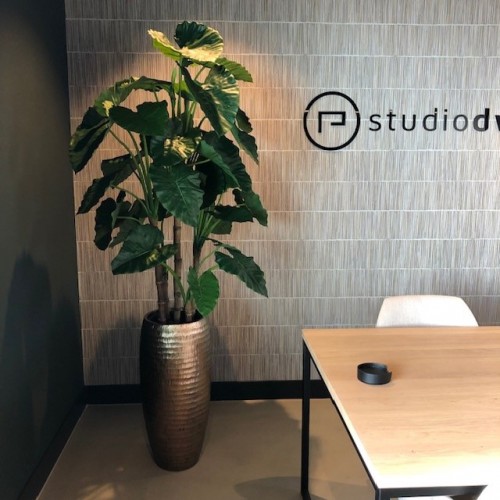 Interieurbeplanting in Emmeloord in een mooie studio 