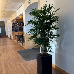 Interieurbeplanting Lelystad om te zorgen voor meer zuurstof op kantoor 